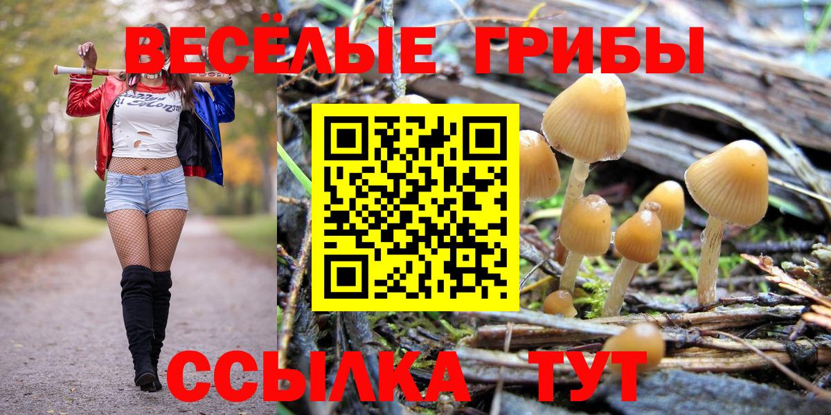 Галлюциногенные грибы мицелий Томск