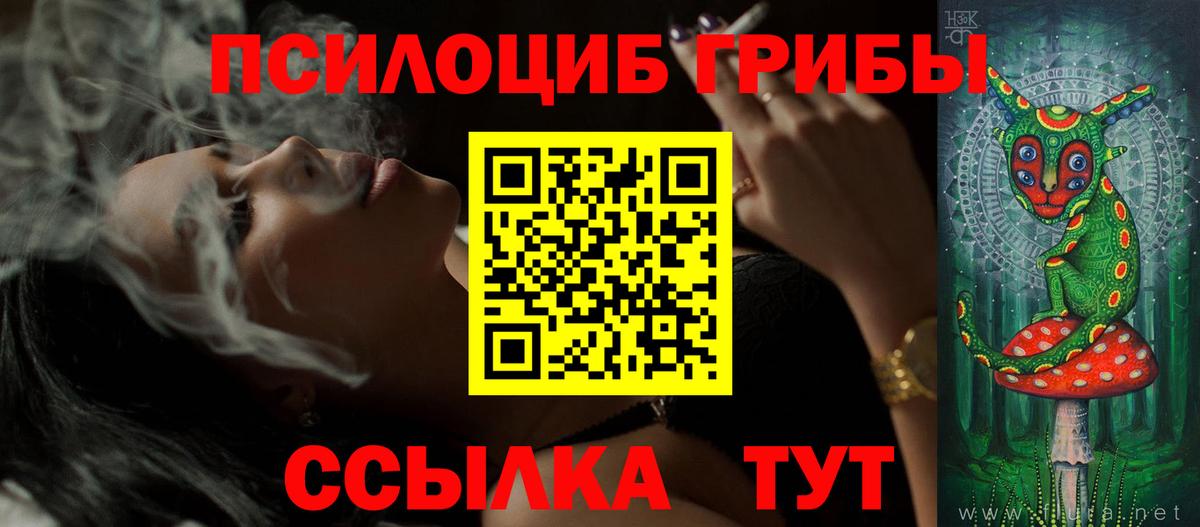 наркота  Вход с VPN  Томск  Псилоцибиновые грибы Cubensis 